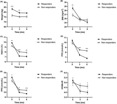 Predictive factors of response to liraglutide in patients with type 2 diabetes mellitus and metabolic syndrome